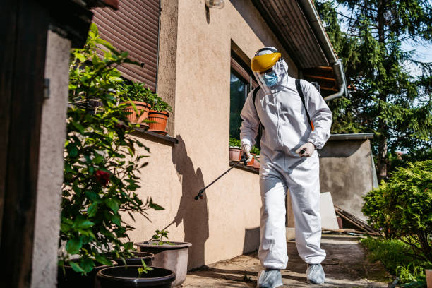 Best Affordable Pest Control Services  in Matteson, IL
