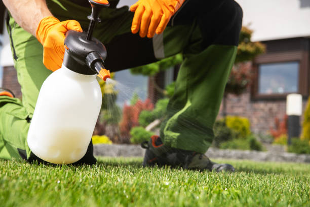 Bird Control in Matteson, IL