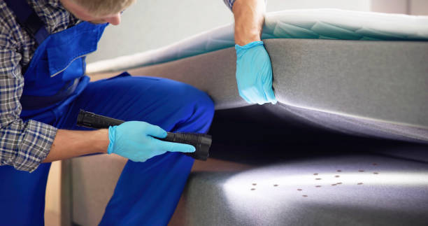 Best Affordable Pest Control Services  in Matteson, IL