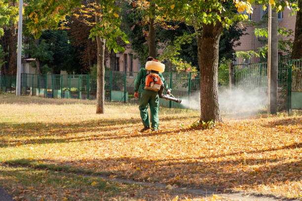 Wildlife Control Services in Matteson, IL