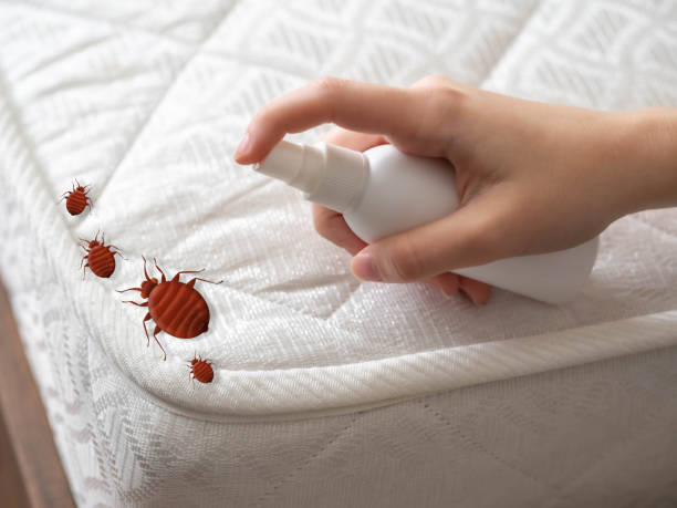 Best Best Pest Control Companies  in Matteson, IL