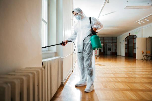 Pest Prevention Services in Matteson, IL