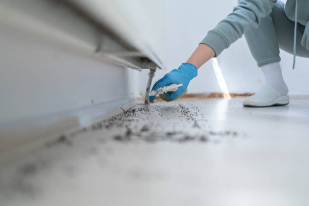 Best Pest Inspection Near Me  in Matteson, IL